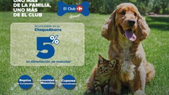 Carrefour ha creado El Club de Mascotas, el primer programa de fidelización de animales del sector de la distribución en España. CARREFOUR